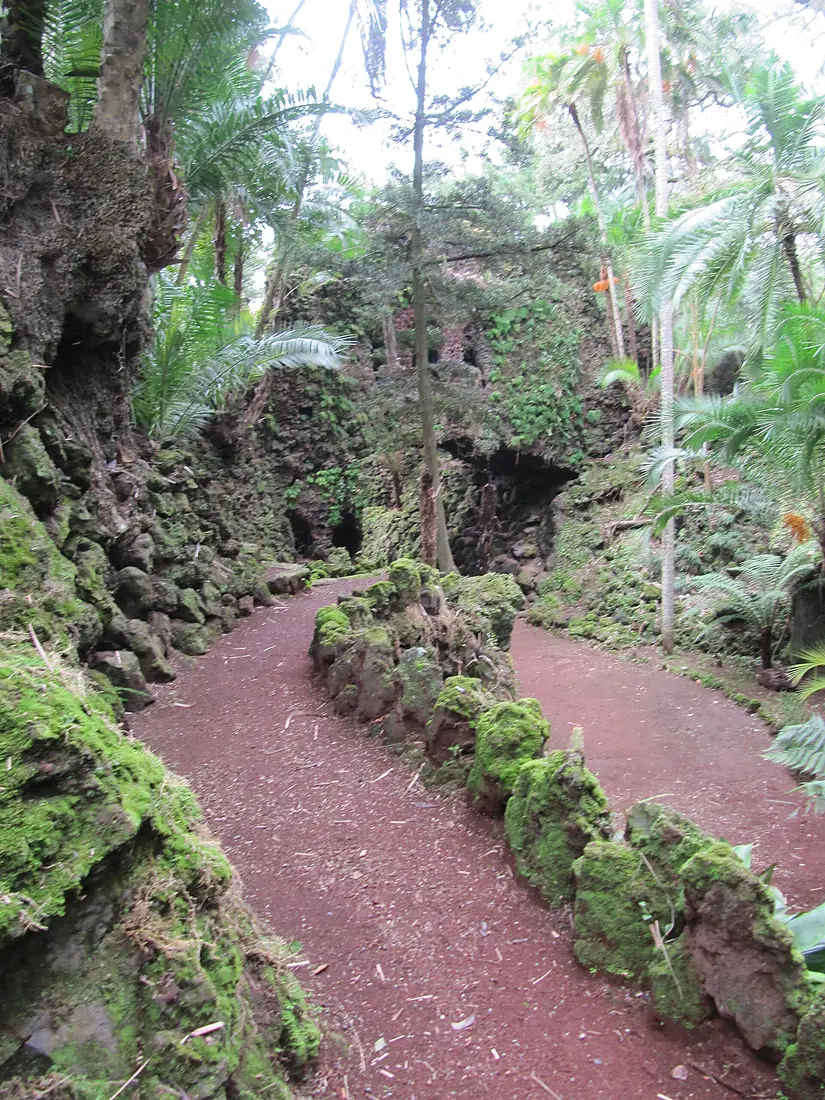 Jardim Antonio Borges (13985180776)