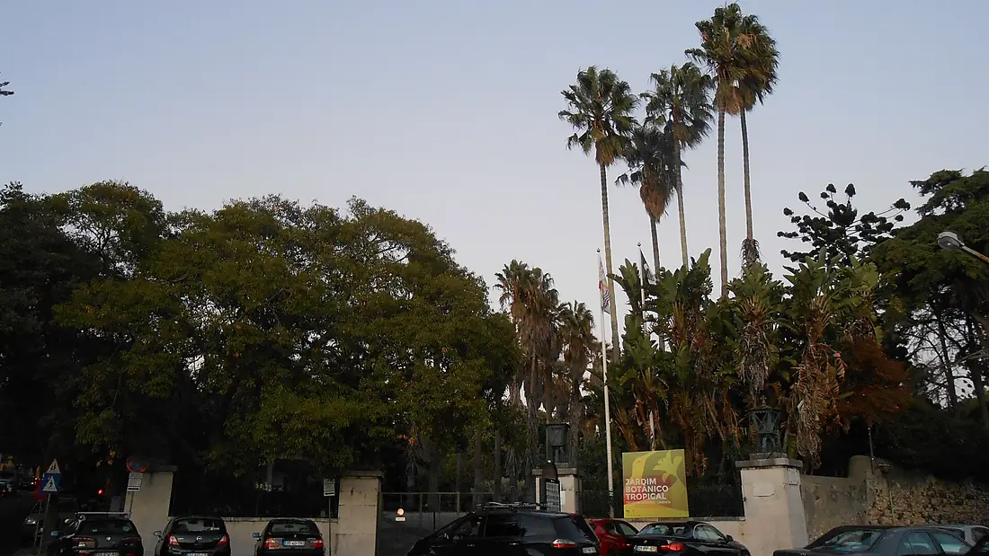 Jardim Botânico em Lisboa