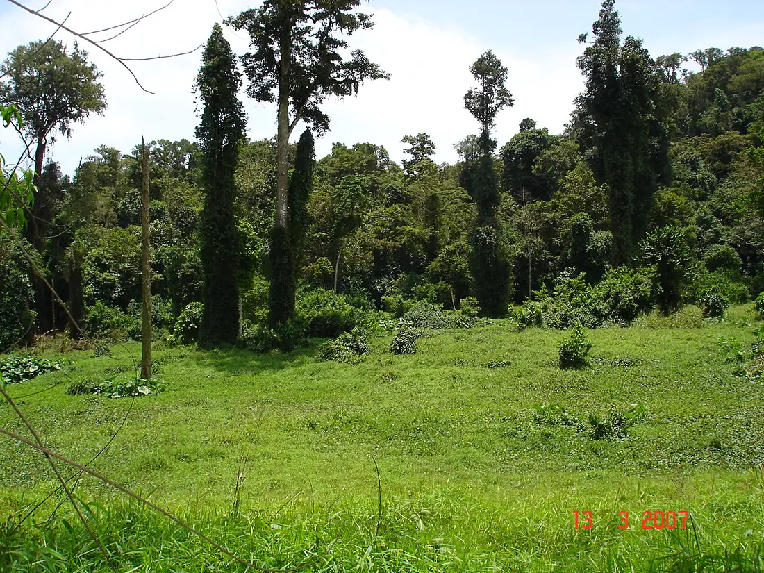 Esperança - A 10m. do Jardim Botânico do Bom Sucesso - panoramio