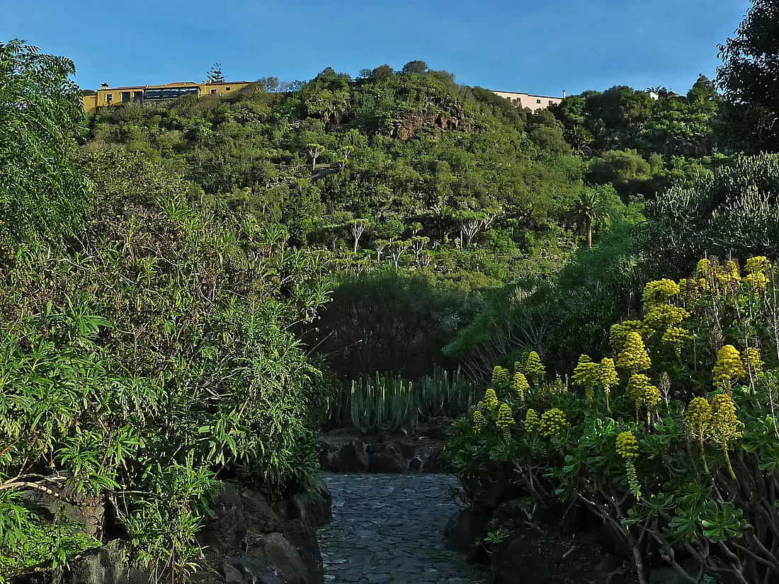 Jardín Botánico Canario Viera y Clavijo
