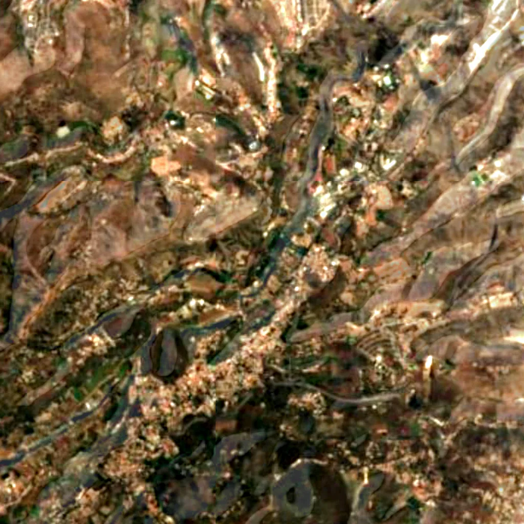 Jardín Botánico Canario Viera y Clavijo seen from above (Sentinel-2)