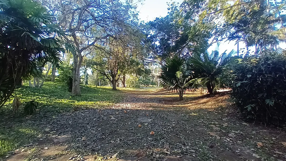 Jardón Botánico de La Habana 20240407 084203