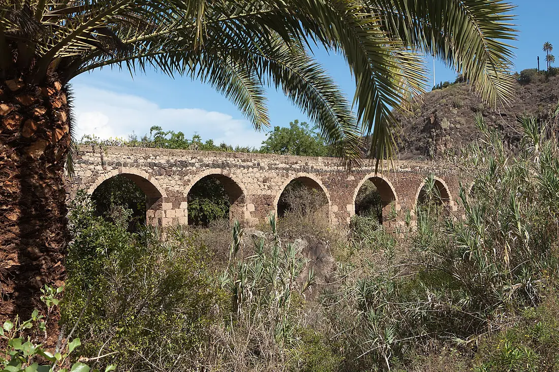 Jardín Botánico Canario Viera y Clavijo - Gran Canaria - 01