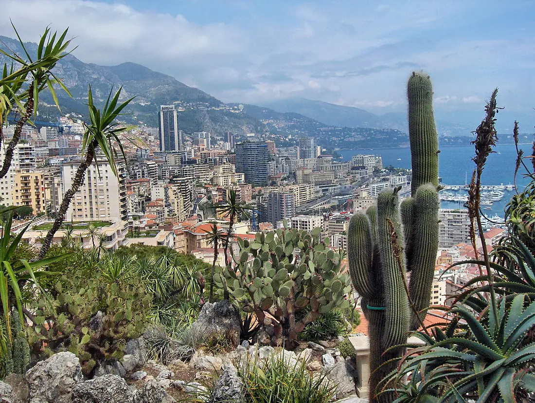Monaco and Monte-Carlo as seen from the Jardin Exotique 2009