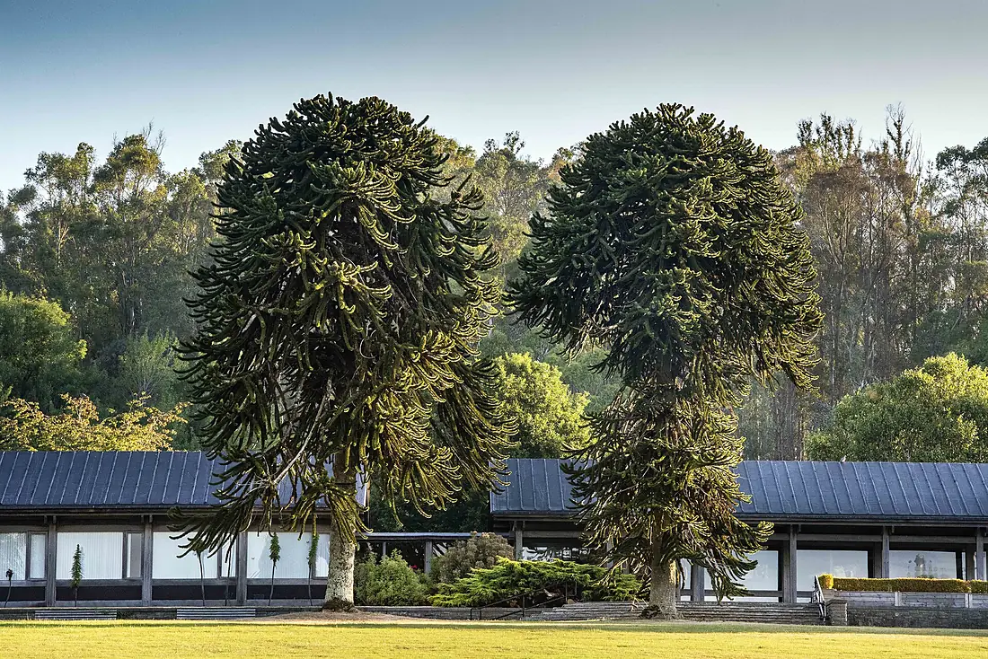 JFK Arboretum