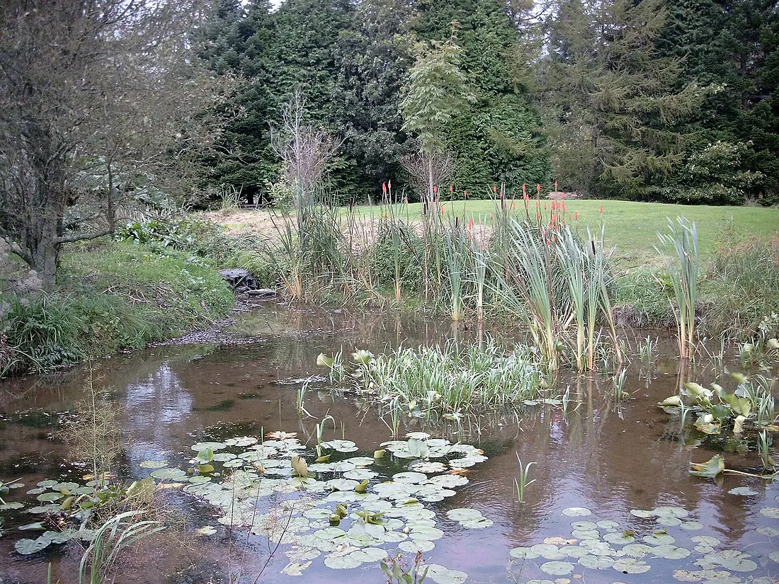 JFK Arboretum 3