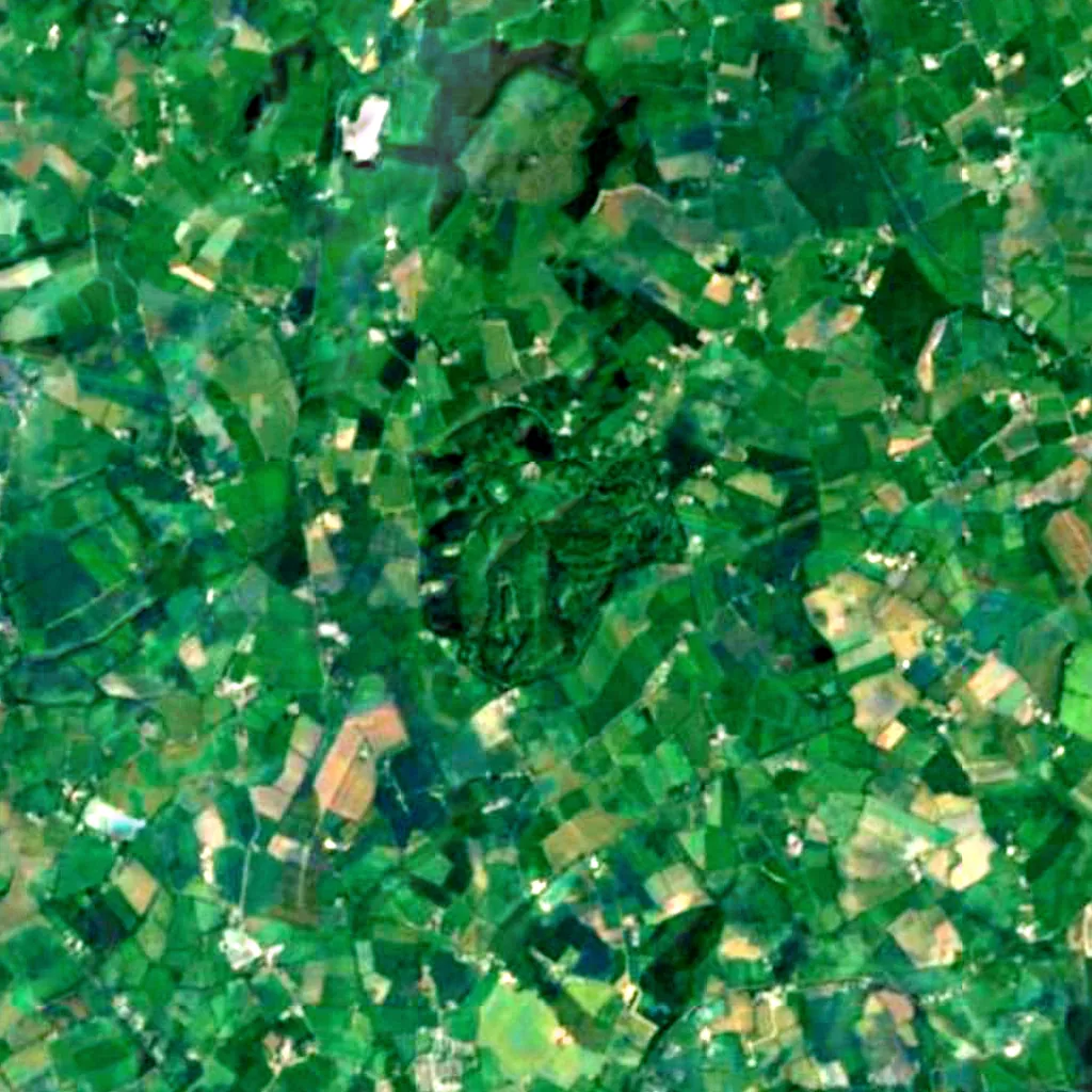 John F. Kennedy Arboretum seen from above (Sentinel-2)