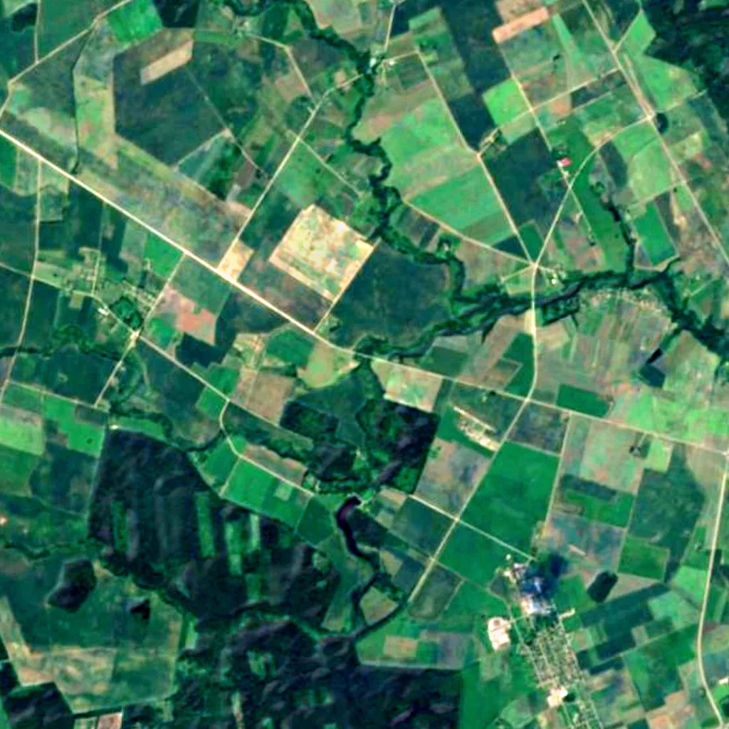 Josvainiai Forest seen from above (Sentinel-2)