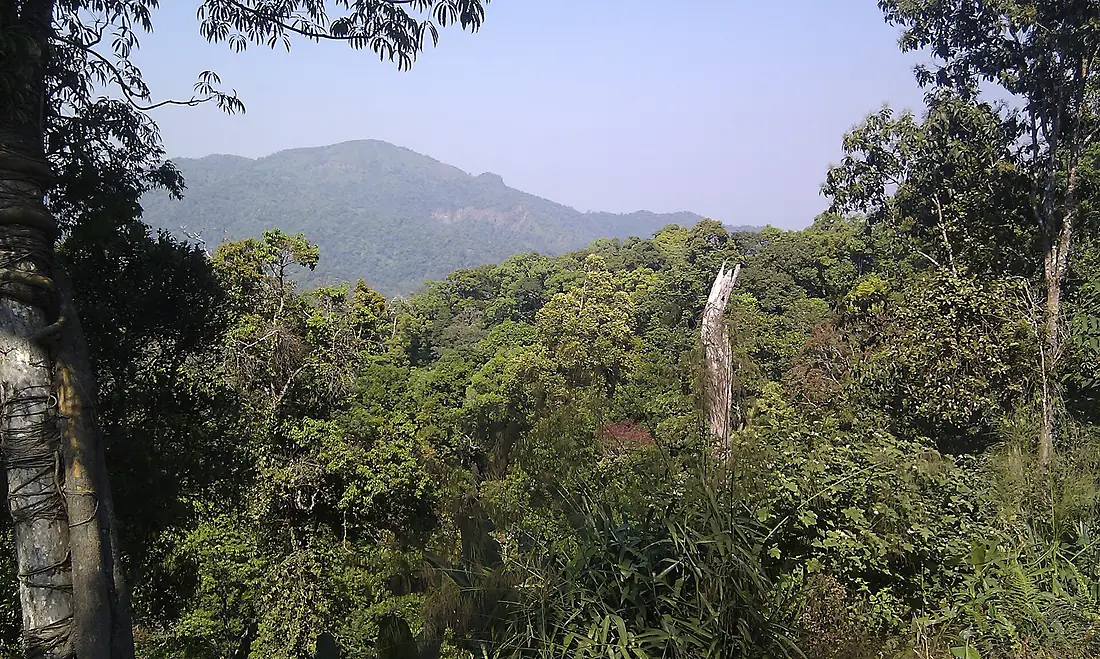 Kaeng Krachan