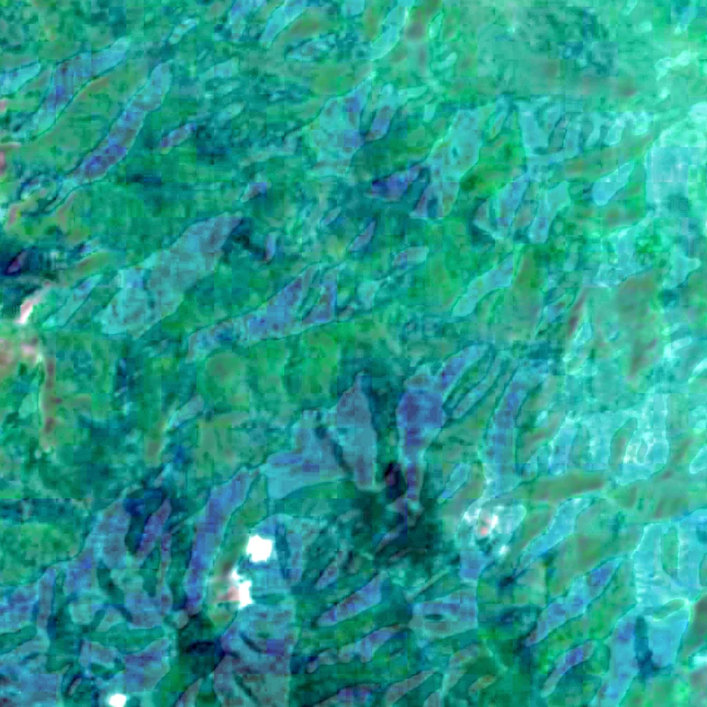Kaeng Krachan Forest Complex seen from above (Sentinel-2)