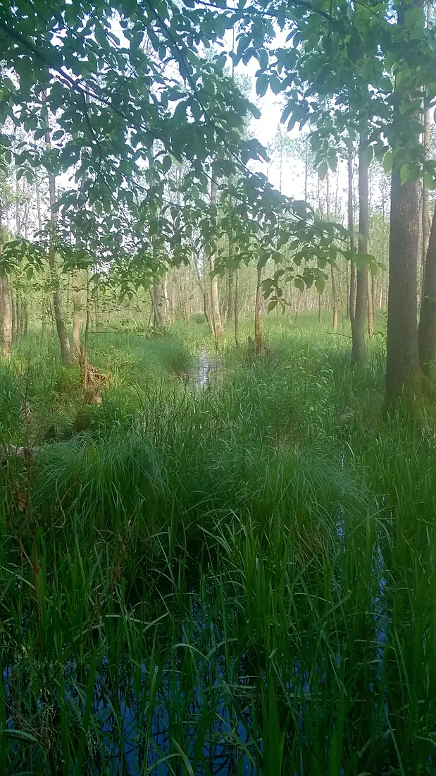 Bagno SierakówWP 20150520 010