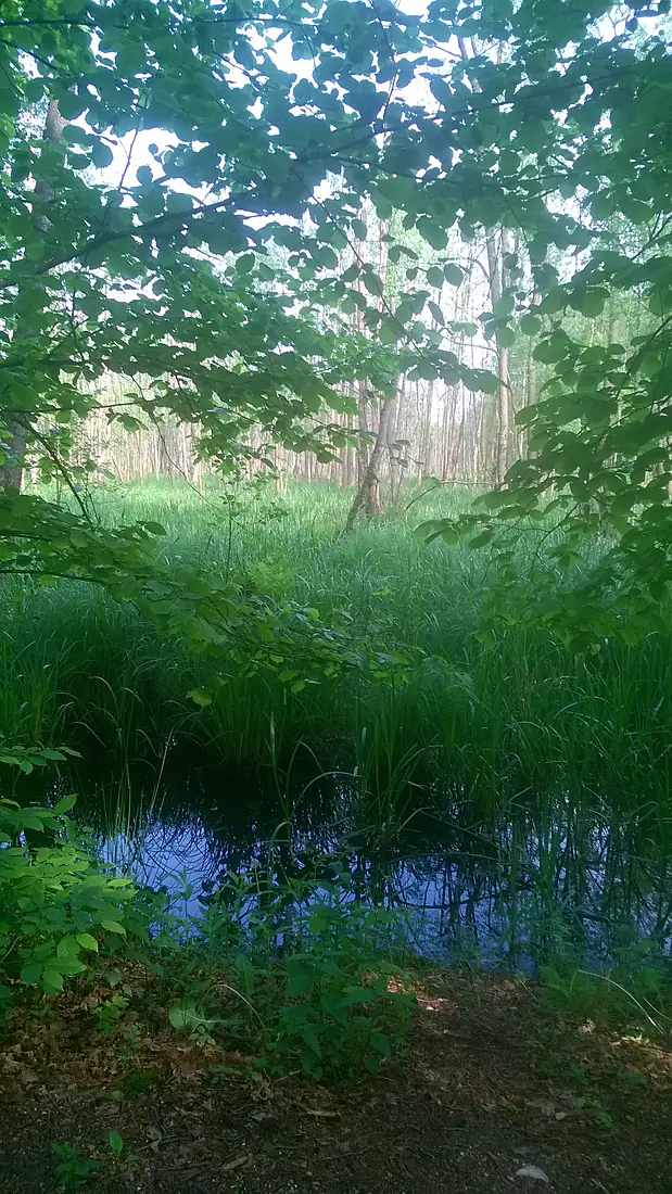 Bagno SierakówWP 20150520 013