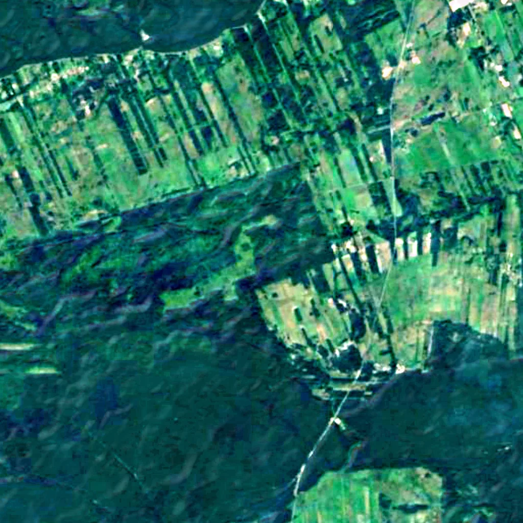 Kampinos Forest seen from above (Sentinel-2)