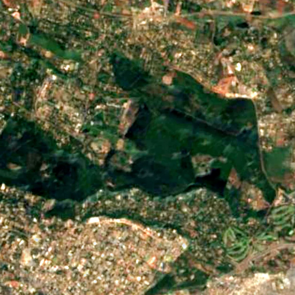 Karura Forest seen from above (Sentinel-2)