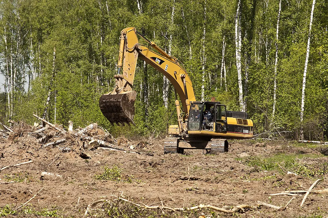 Caterpillar excavator in Khimki Forest 1