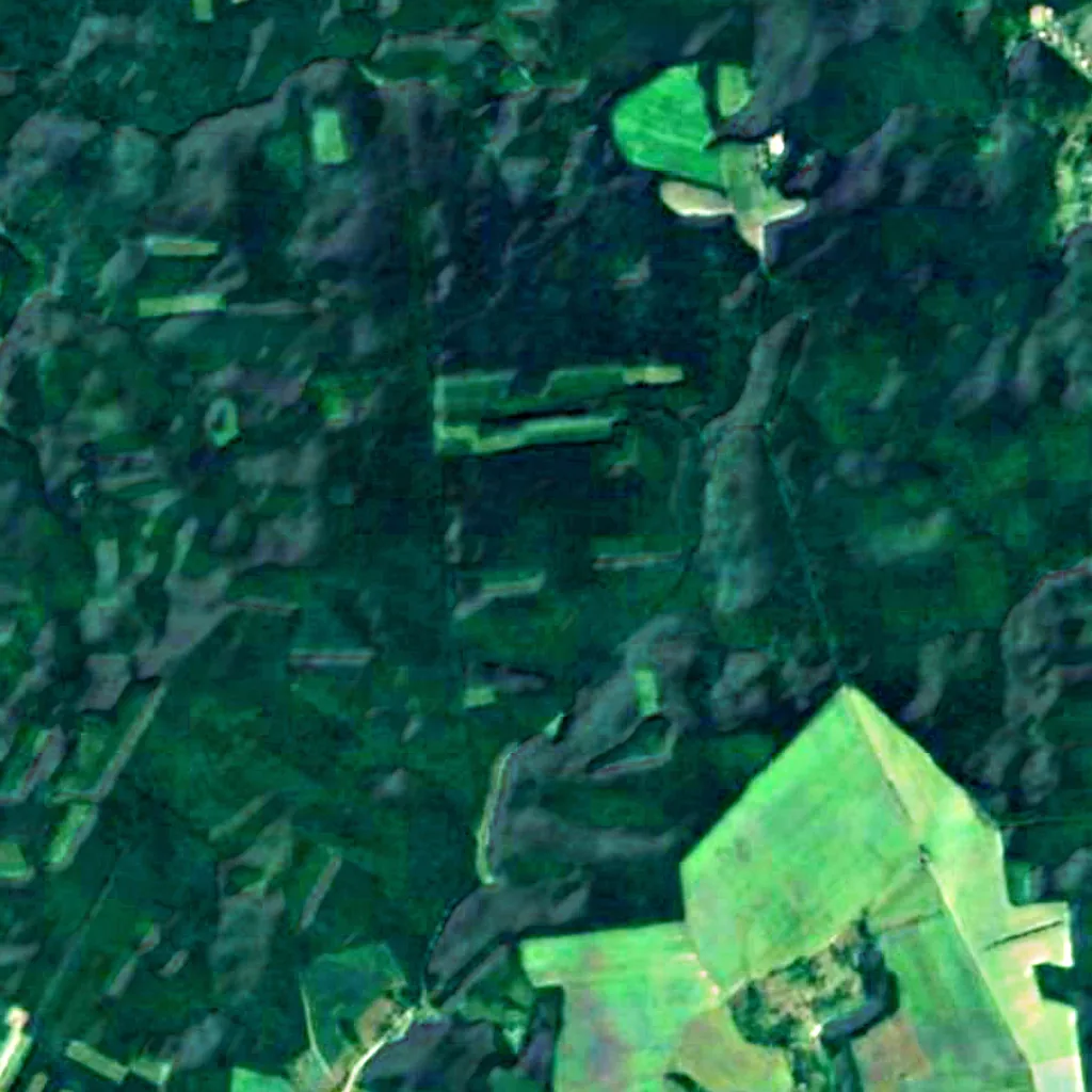 Kholodny Yar seen from above (Sentinel-2)
