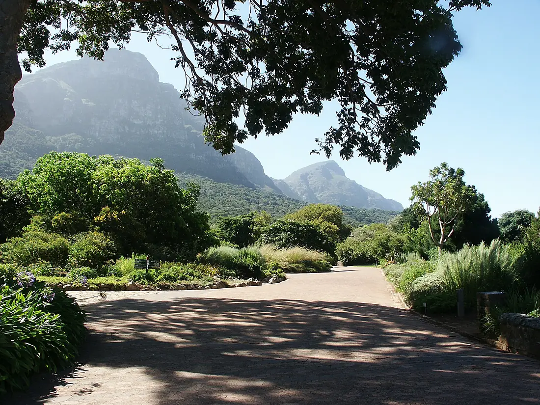 2006 02 Kirstenbosch 12