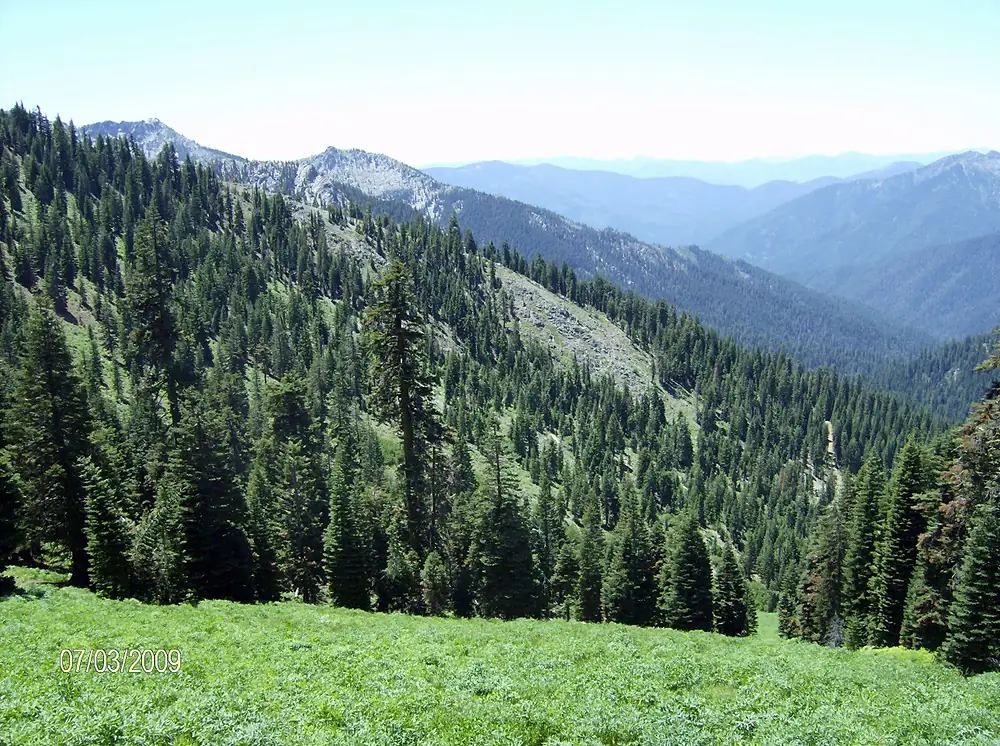 Pacific Crest Trail enroute to Taylor Lake - panoramio