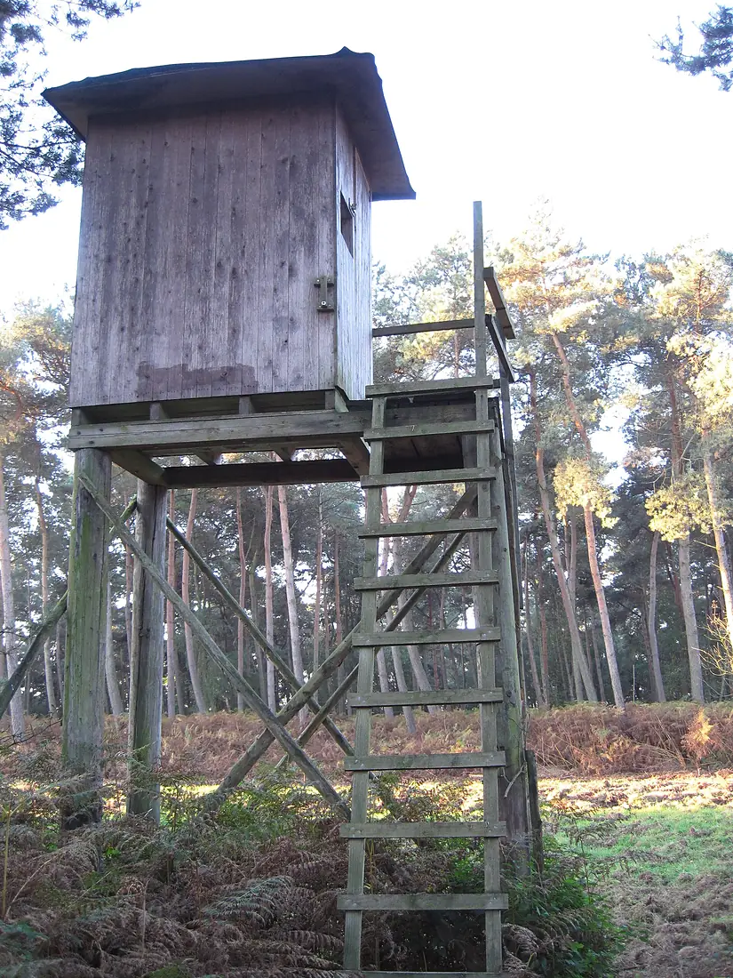 Hunting Stand, Reichswald, Germany