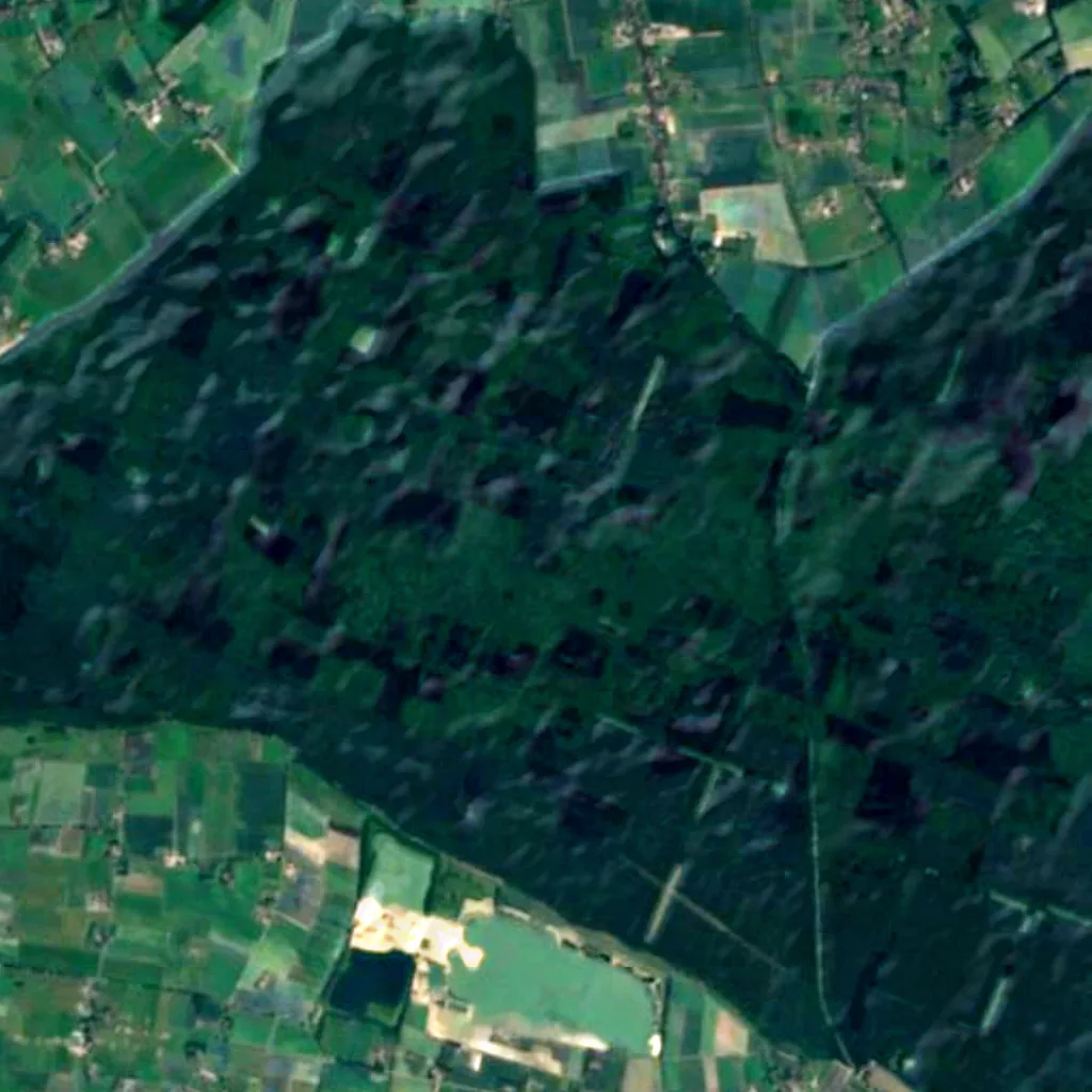 Klever Reichswald seen from above (Sentinel-2)