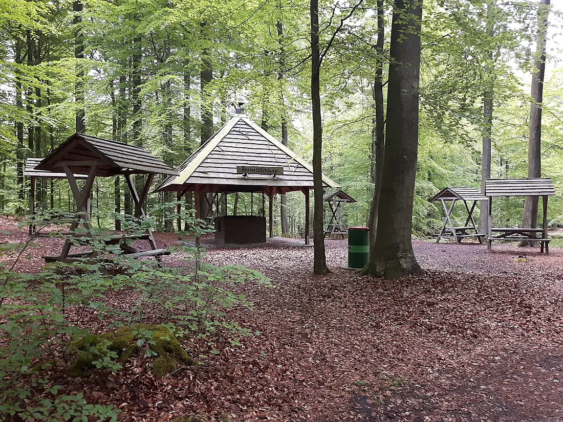 Freizeitlichtung Erholungswald Wassersleben