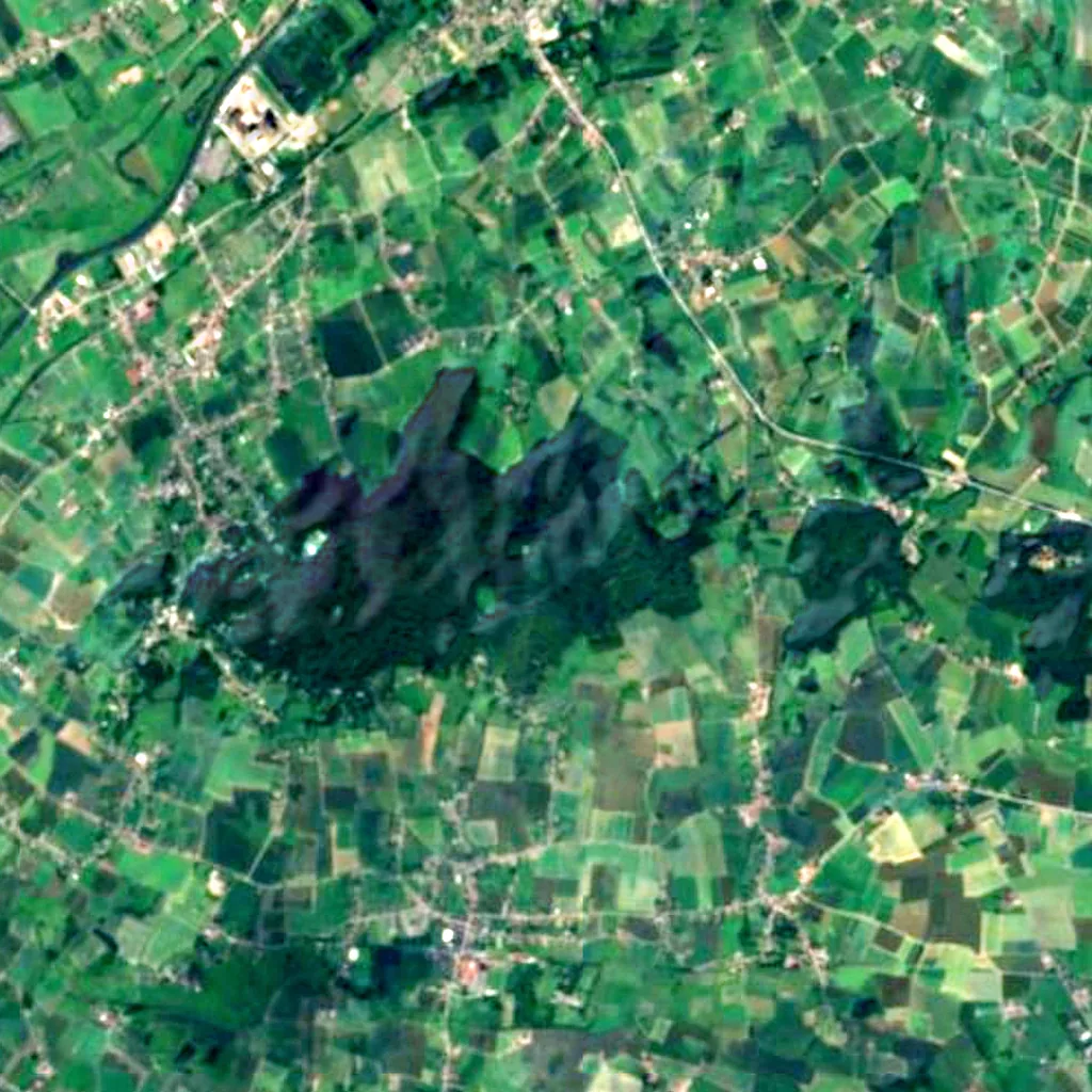 Kluisbos seen from above (Sentinel-2)