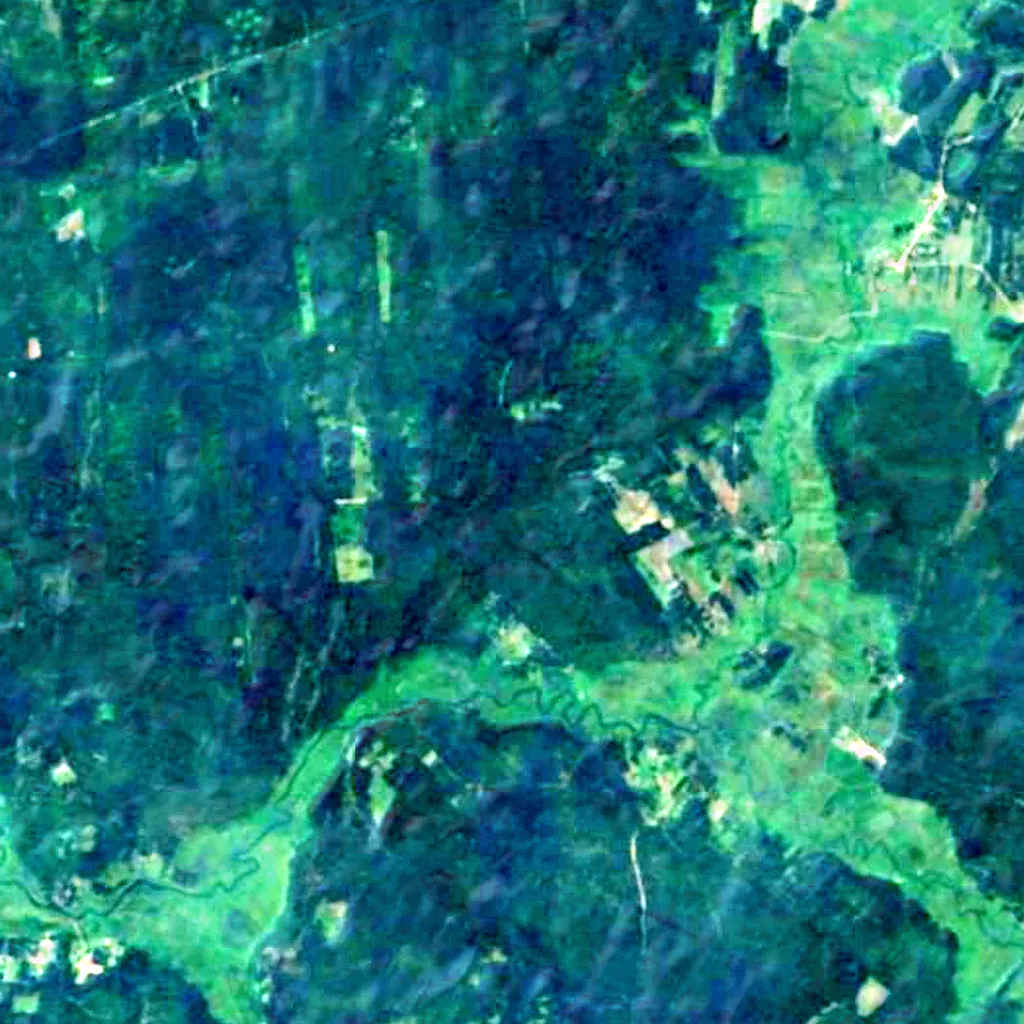 Knyszyn Forest seen from above (Sentinel-2)