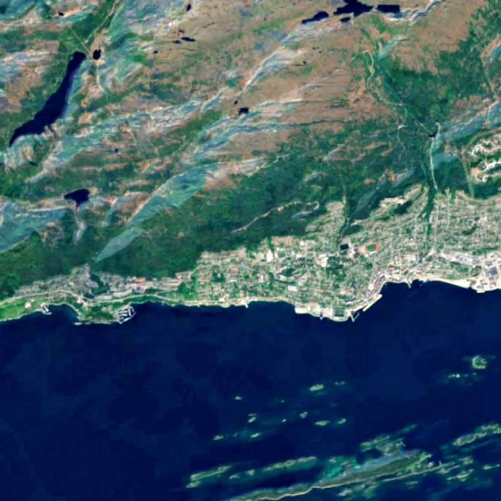 Kongebjørka seen from above (Sentinel-2)
