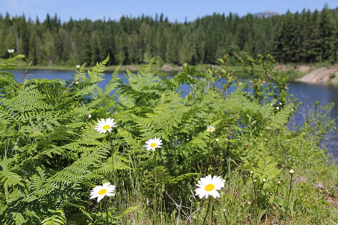 Bull River Day Use Area (9021921221)