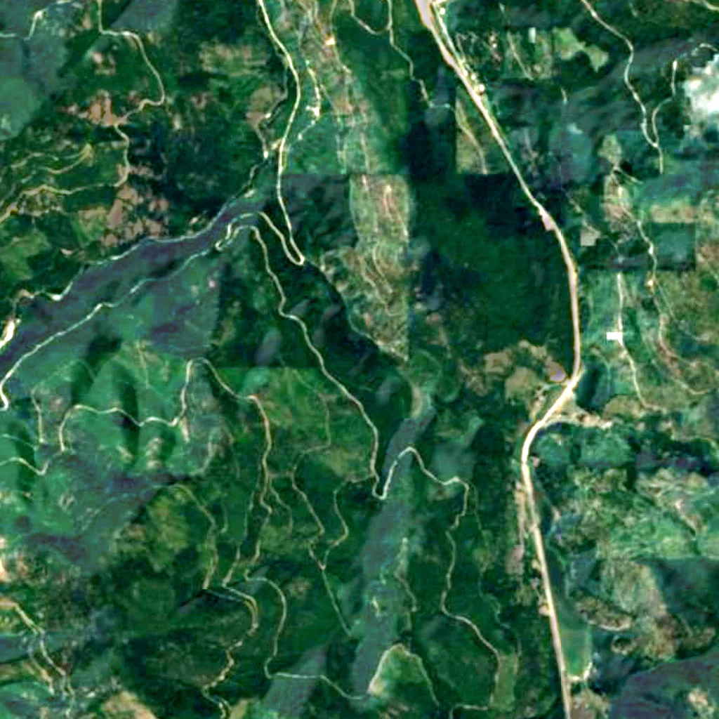 Kootenai National Forest seen from above (Sentinel-2)