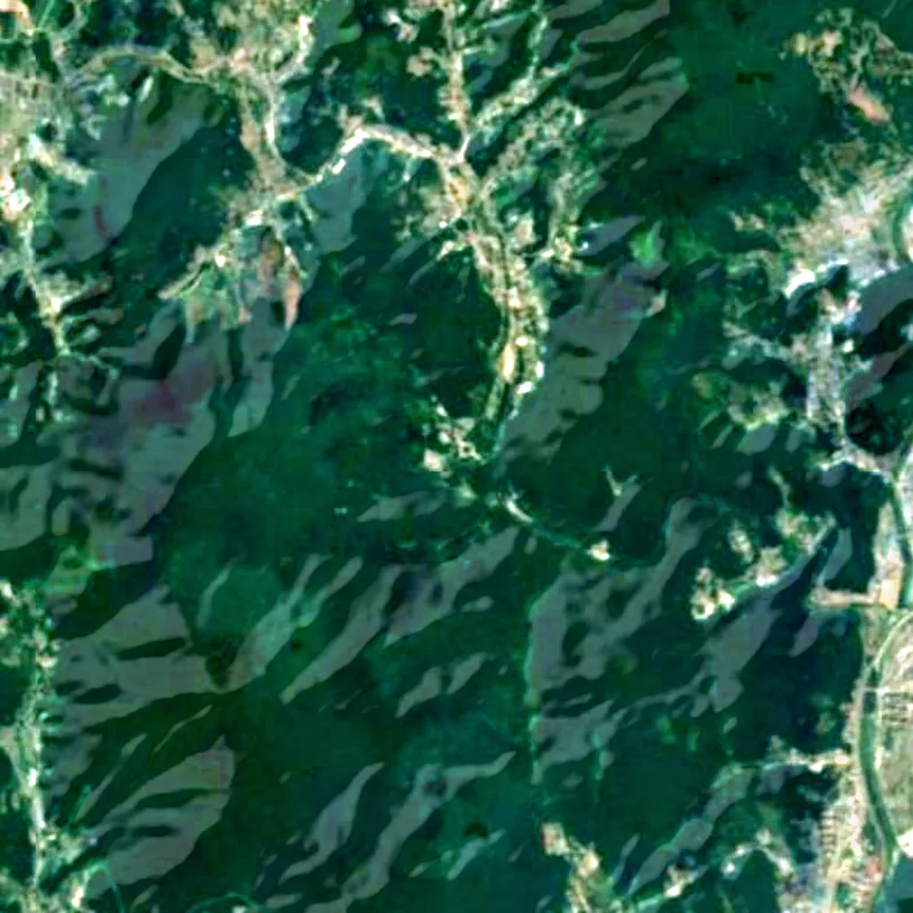 Korea National Arboretum seen from above (Sentinel-2)