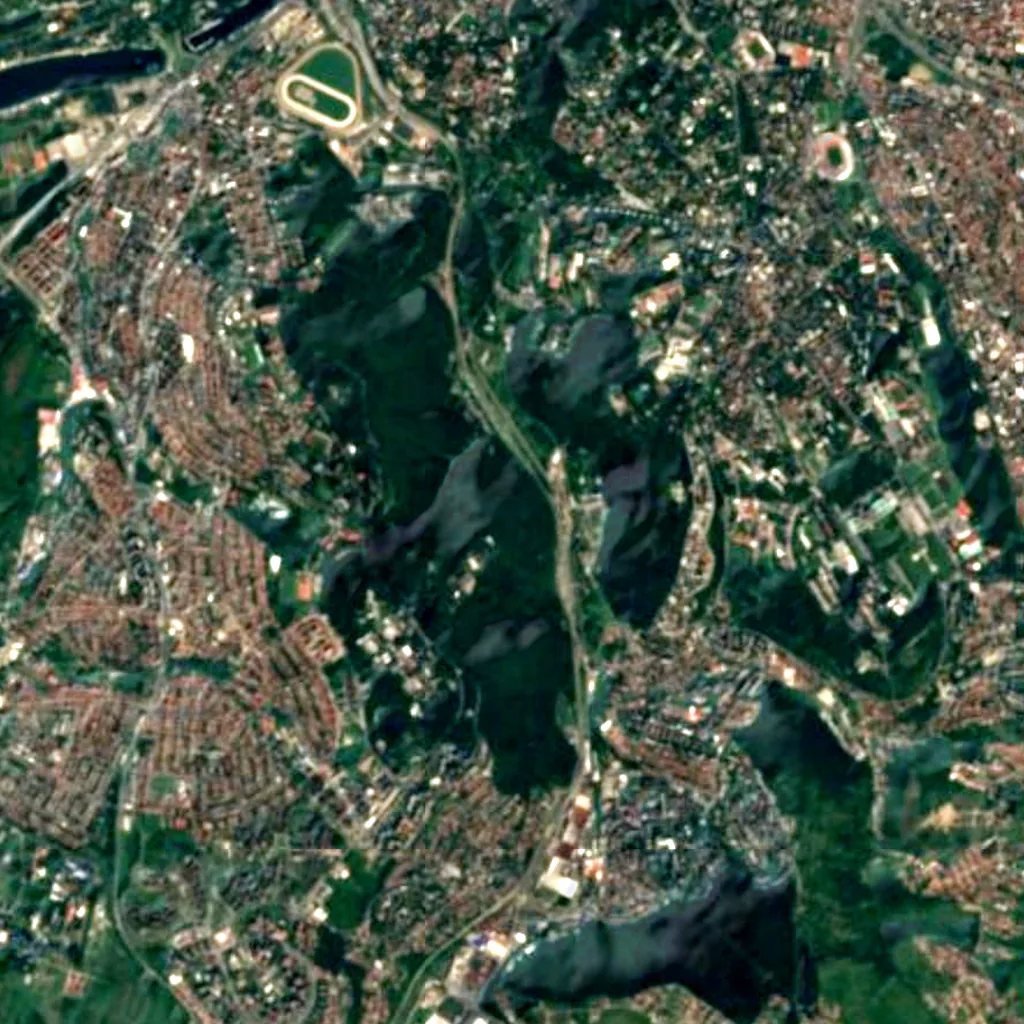Košutnjak seen from above (Sentinel-2)