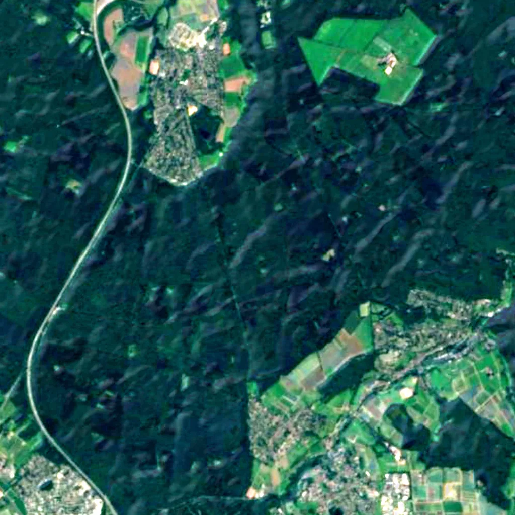 Kottenforst seen from above (Sentinel-2)