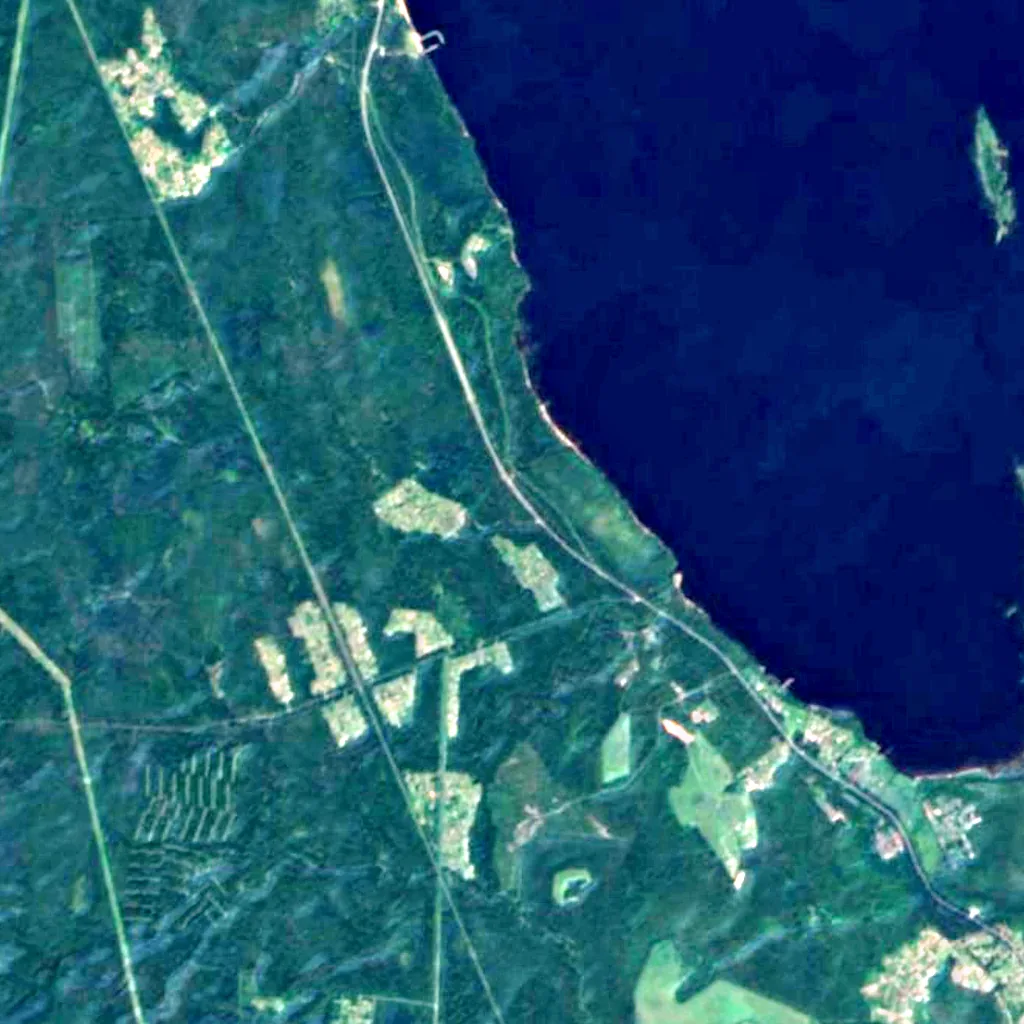 Krasny Bor Forest, Karelia seen from above (Sentinel-2)