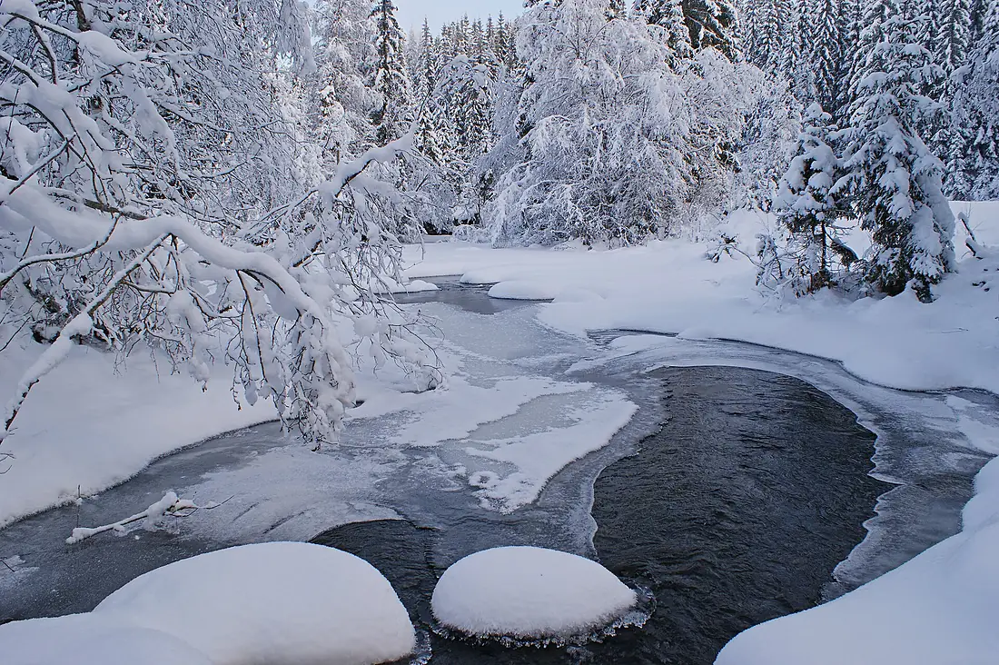 Freezing river (5211780343)