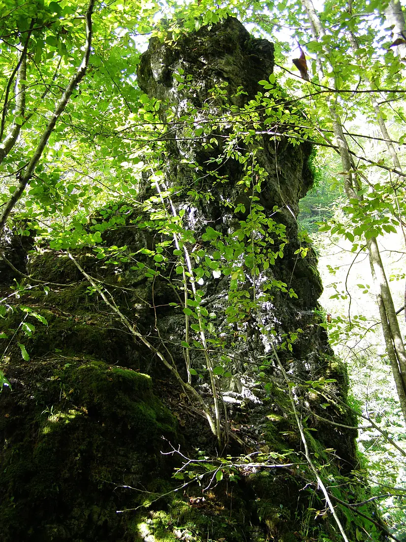 Lug - panoramio - badzeluk