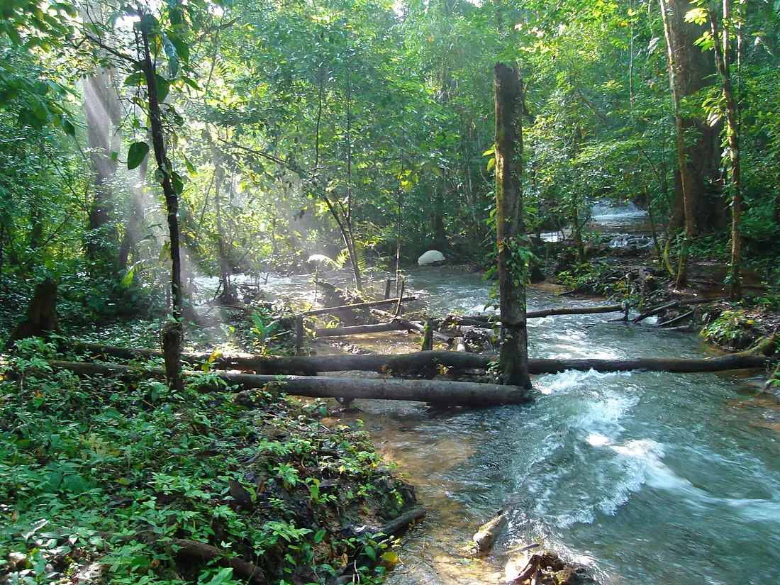 RIOS CRUZANDO LA SELVA LACANDONA