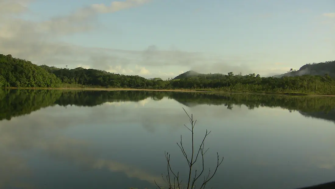 Naha Lacandona Rainforest