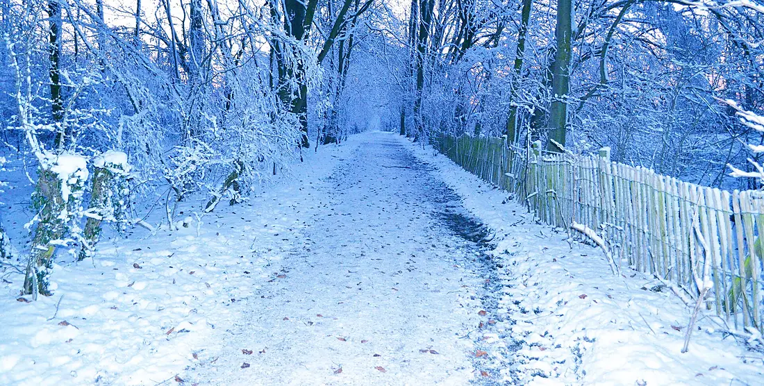 Chemin des Moutons - Bois du Laerbeek