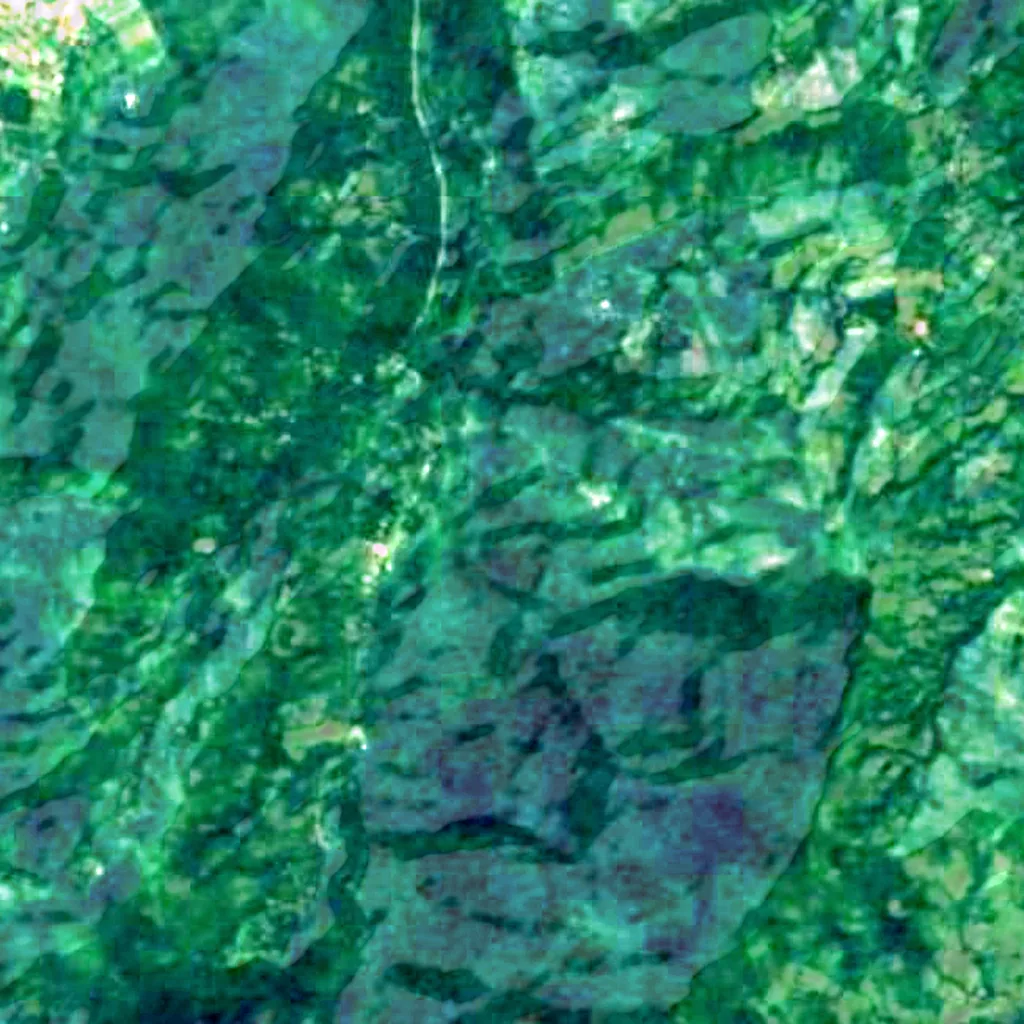 Lancetilla Botanical Garden seen from above (Sentinel-2)