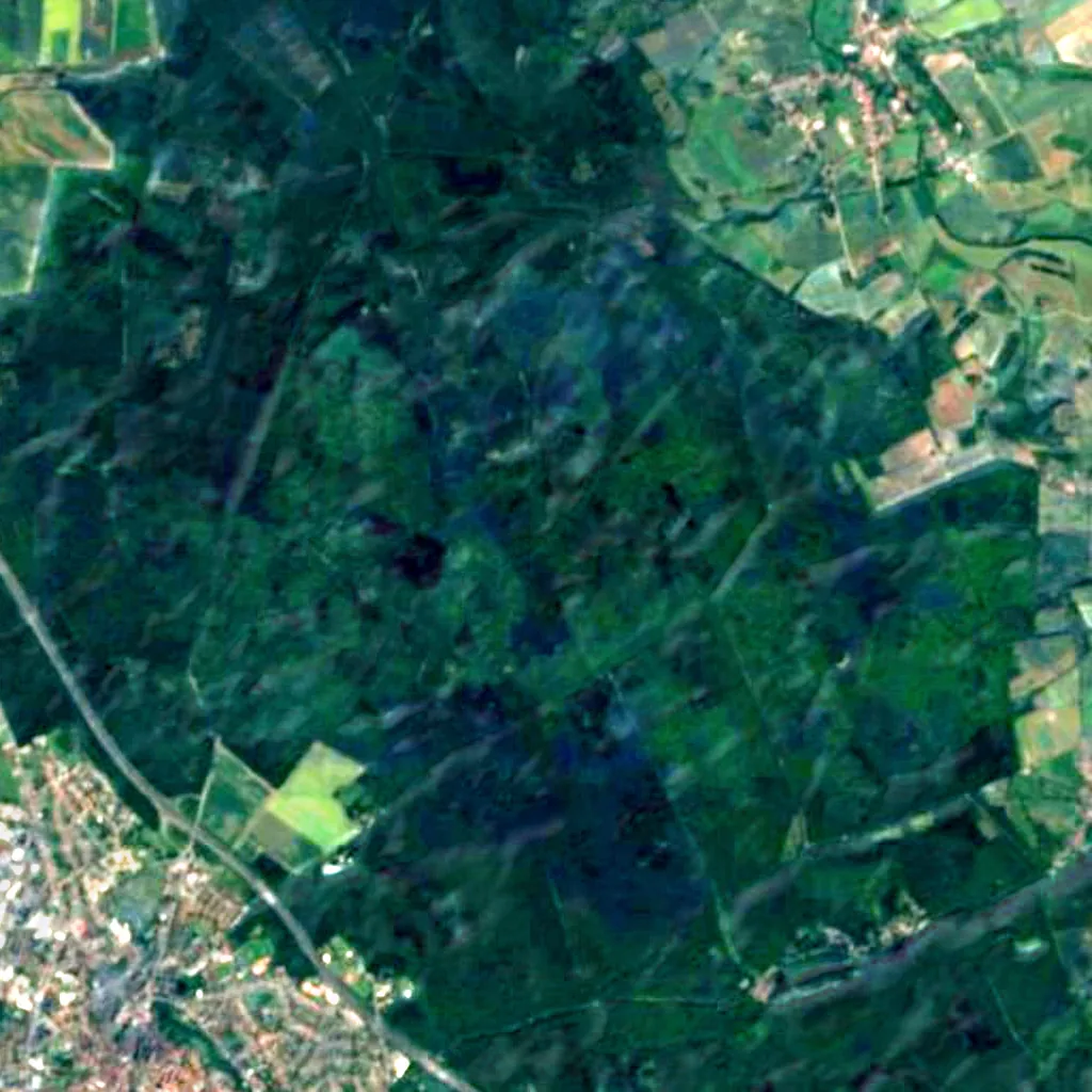 Lappwald seen from above (Sentinel-2)