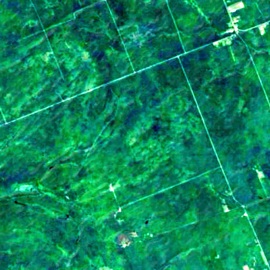 Larose Forest seen from above (Sentinel-2)