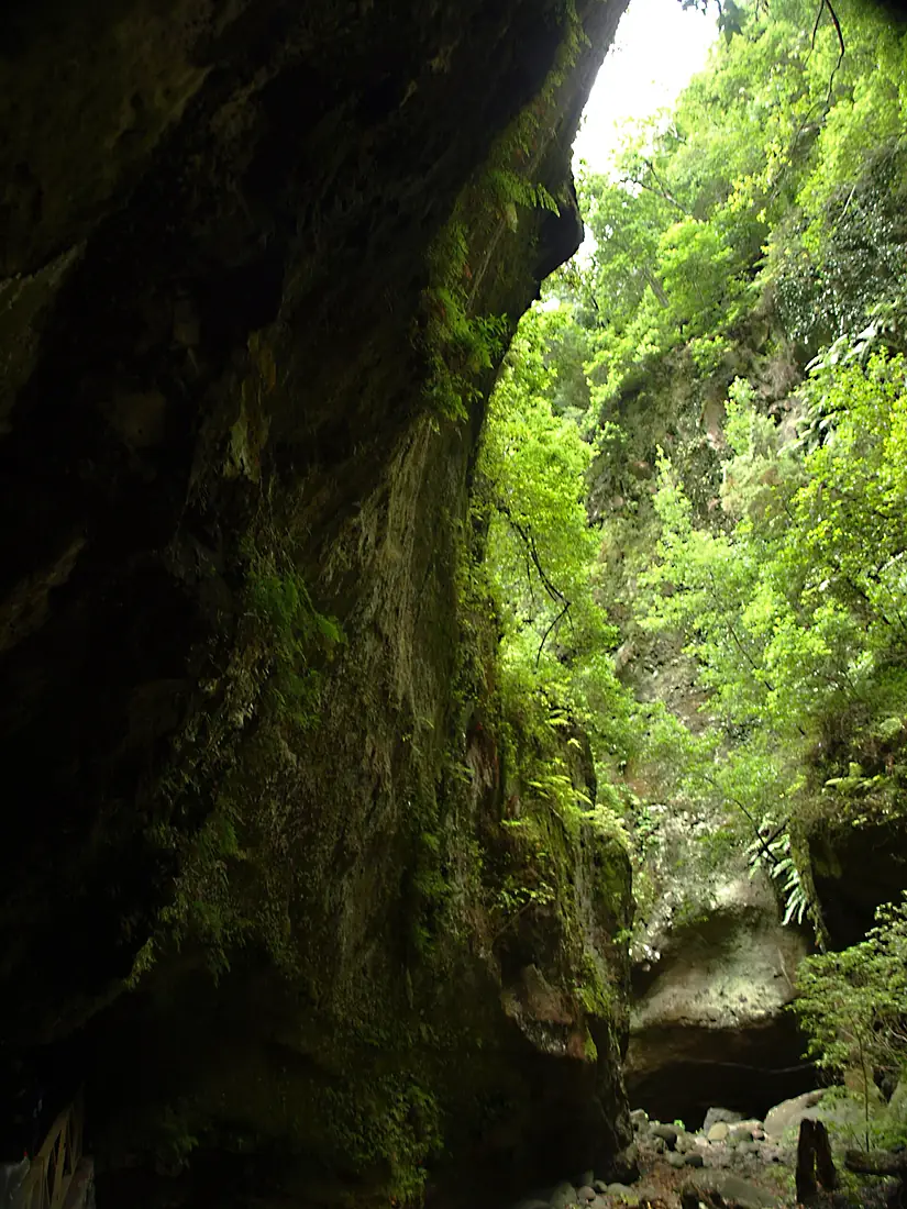 Interior del Parque Natural de Los Tilos