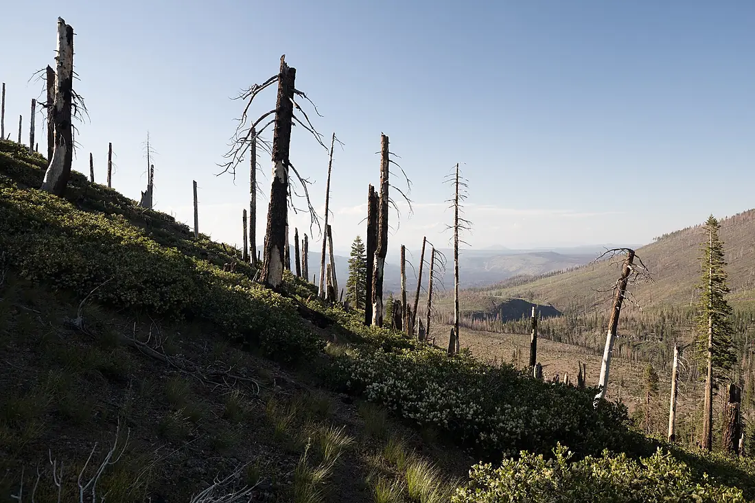 Badger Mountain in Lassen National Forest, California, US