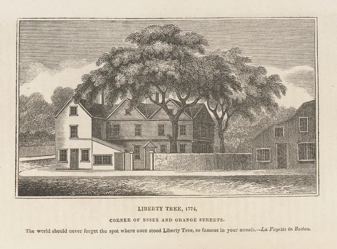 Houghton AC8 Sn612 825h - Liberty Tree