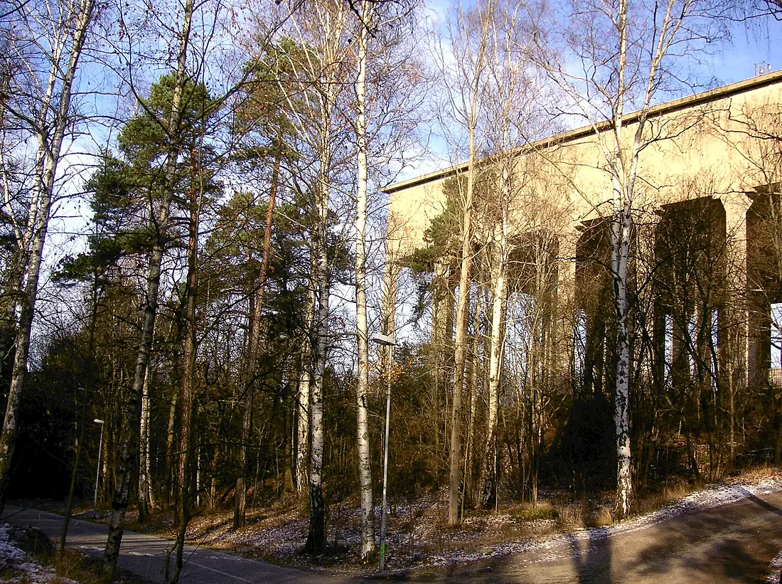 Djurgarden Lilljan 2