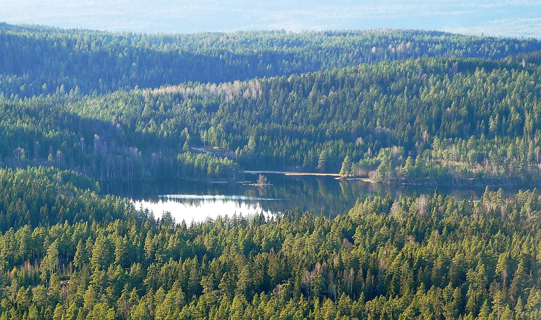 07-11-04 Breisjøen Lillomarka