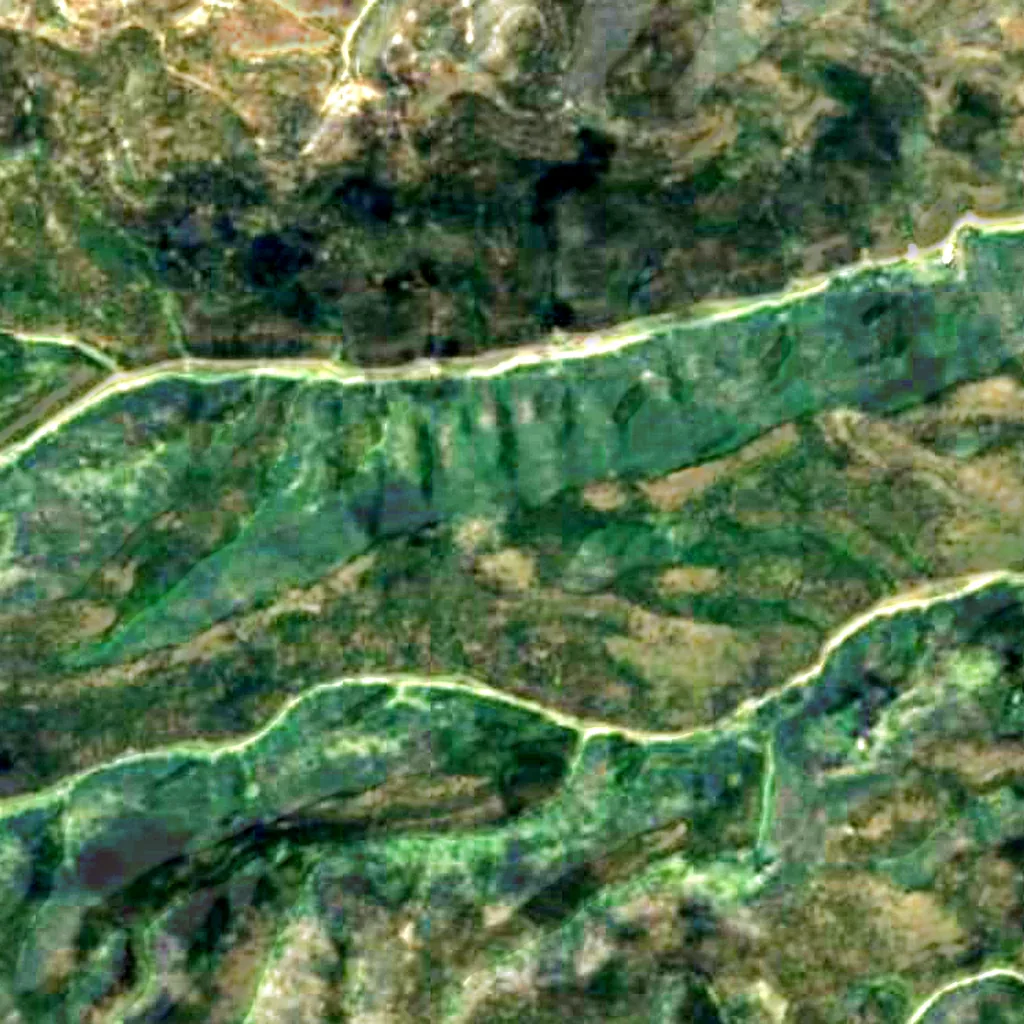 Lincoln National Forest seen from above (Sentinel-2)