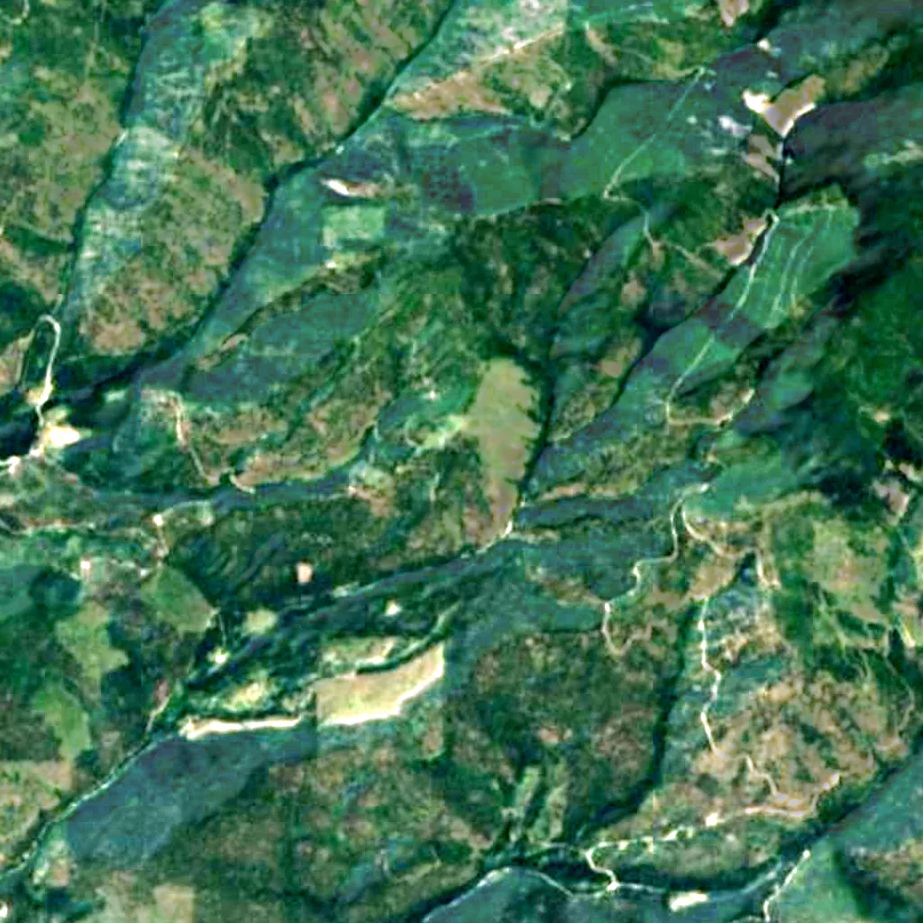 Lolo National Forest seen from above (Sentinel-2)