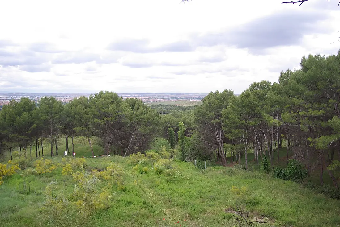 ® ALCALA DE HENARES JARDIN SOBRE EL RIO HENARES - panoramio (1)